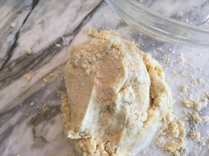 Place the dough on a lightly floured surface.