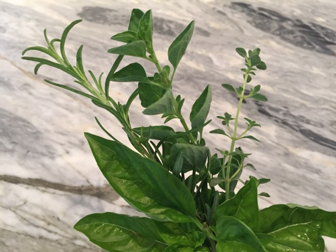 Basil, oregano and thyme sprigs