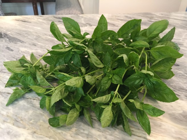 fresh basil